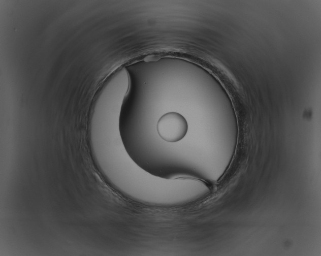 X0000095540785200801041308