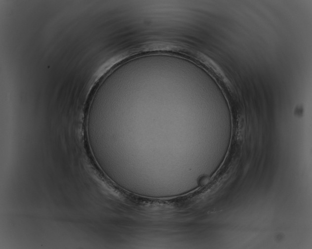 X0000095540786200801041308