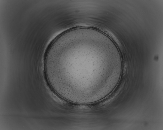 X0000095540787200801041308