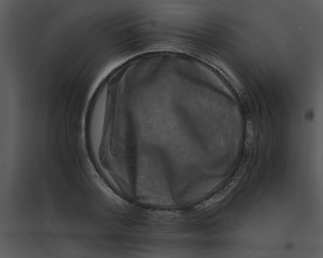 X0000095540788200801041308