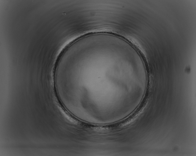 X0000095540789200801041308