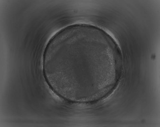 X0000095540791200801041308