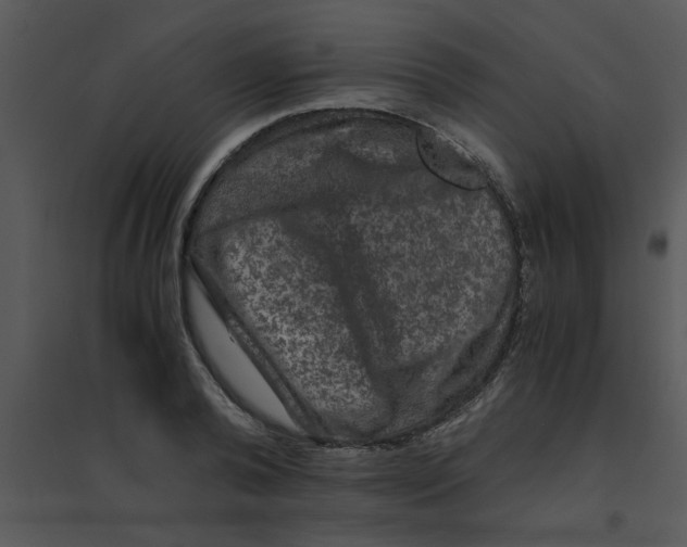 X0000095540792200801041308