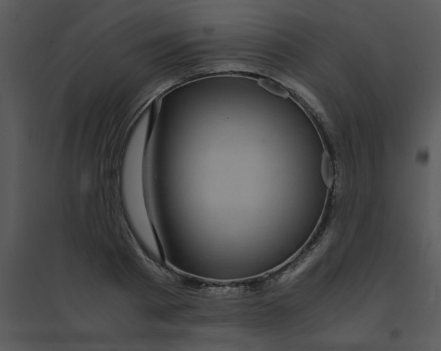 X0000095540793200801041308