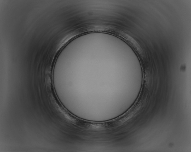 X0000095540794200801041308