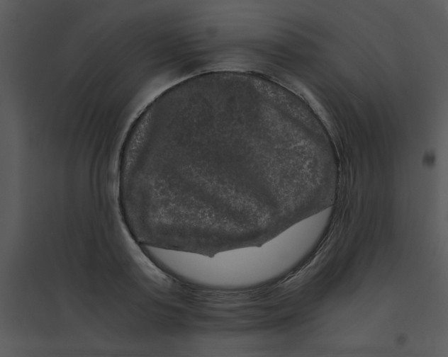 X0000095540795200801041308