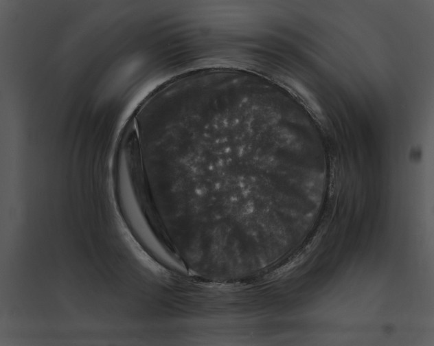 X0000095540796200801041308