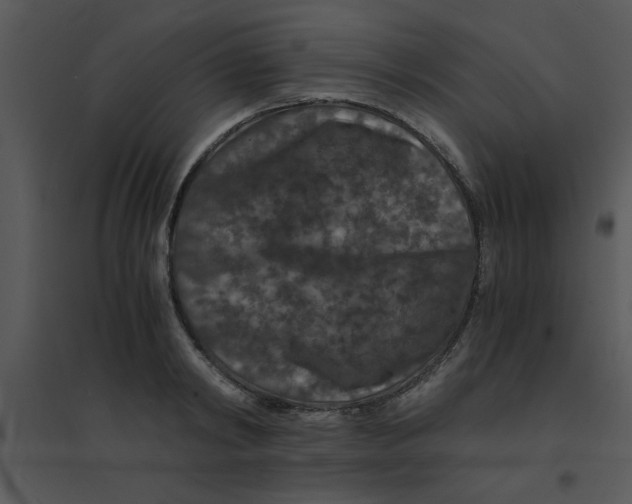 X0000095540798200801041308