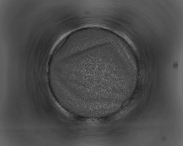 X0000095540799200801041308