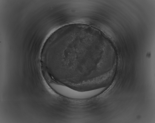 X0000095540800200801041308