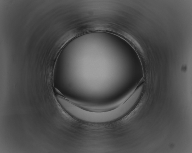 X0000095540801200801041308