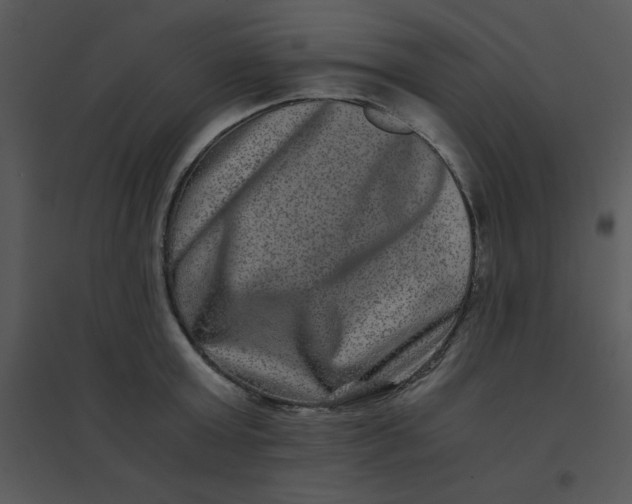 X0000095540803200801041308