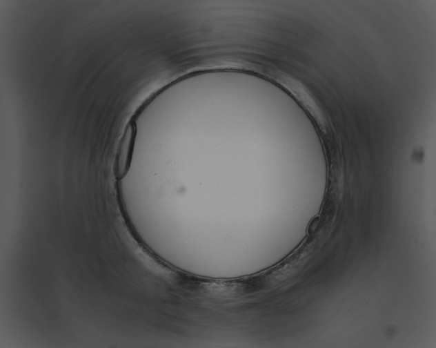 X0000095540805200801041308