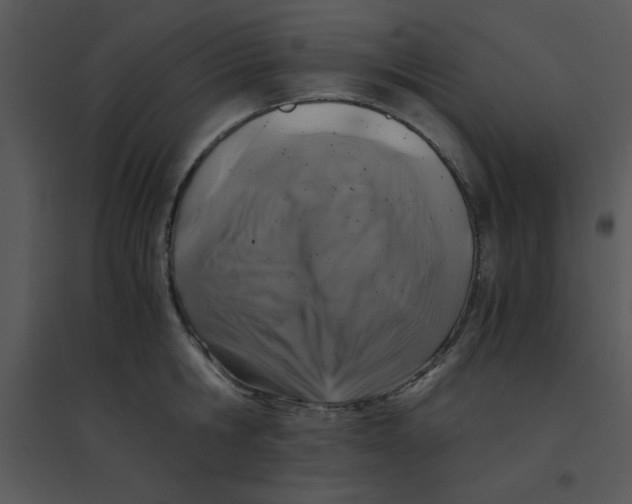 X0000095540806200801041308