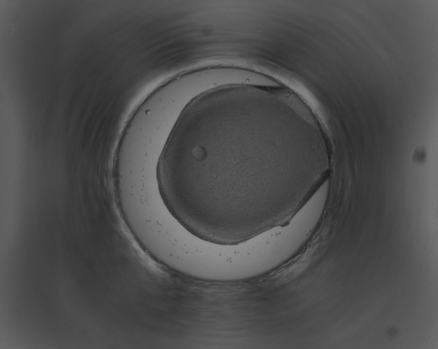 X0000095540807200801041308