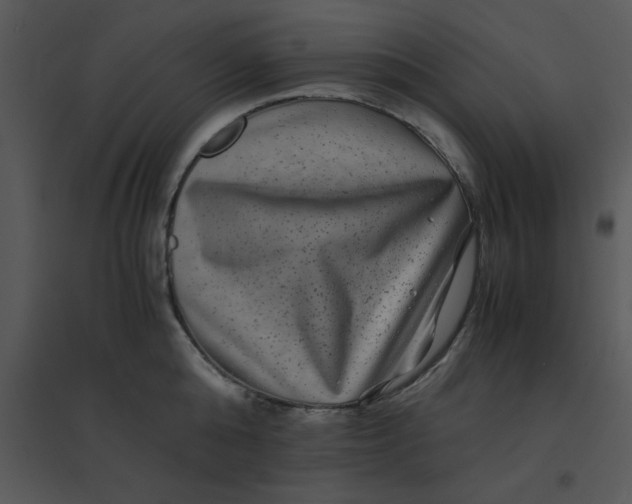 X0000095540808200801041308