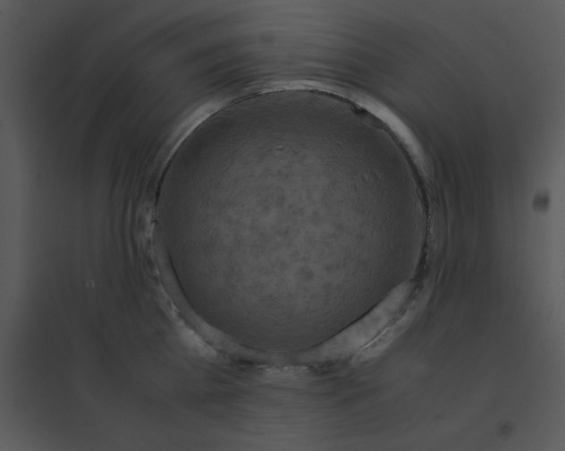 X0000095540809200801041308