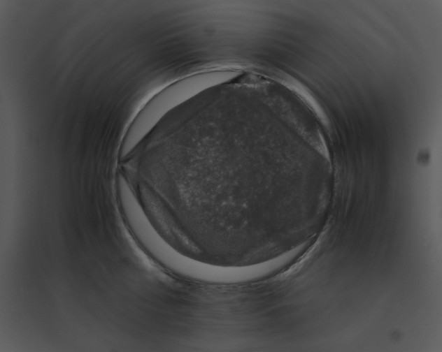 X0000095540810200801041308