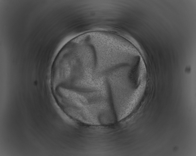 X0000095540811200801041308