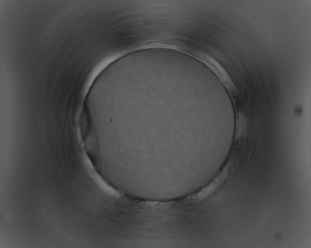 X0000095540812200801041308