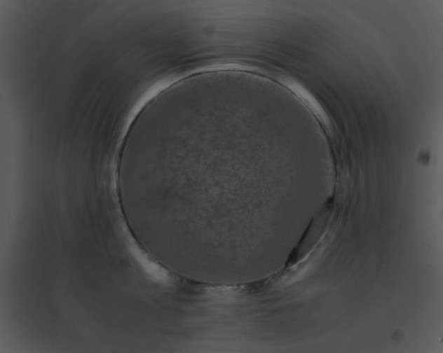 X0000095540813200801041308