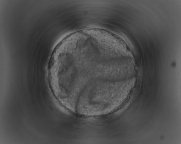 X0000095540814200801041308