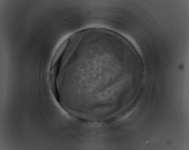 X0000095540815200801041308