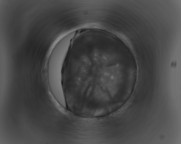 X0000095540816200801041308