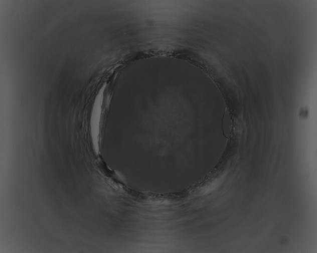 X0000095540818200801041307