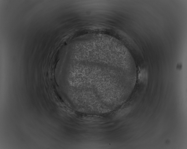 X0000095540819200801041307