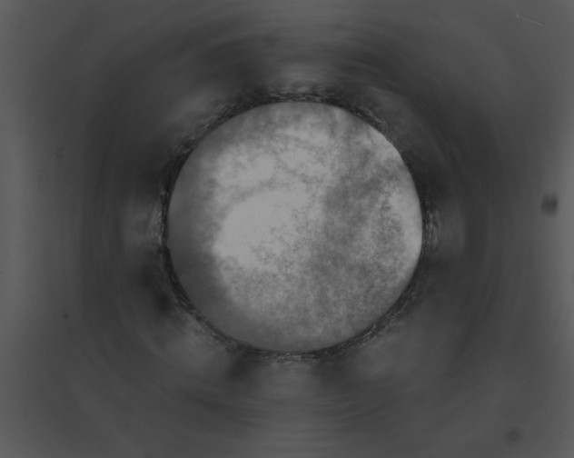 X0000095540820200801041307