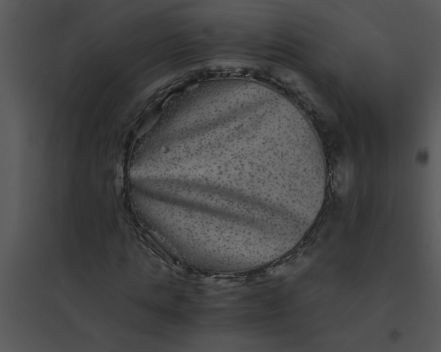 X0000095540821200801041307