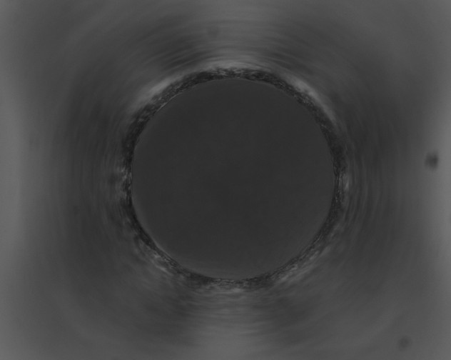 X0000095540822200801041307