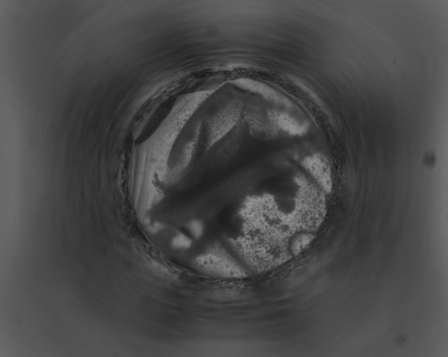 X0000095540823200801041307