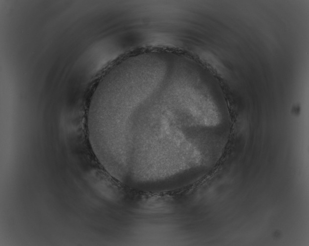 X0000095540824200801041307