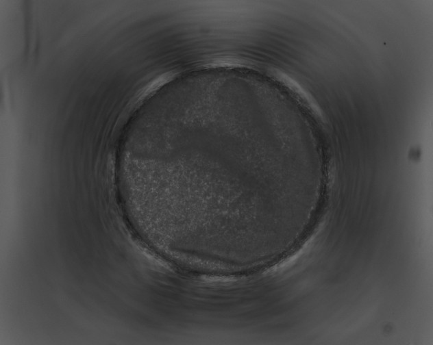 X0000095540825200801041307