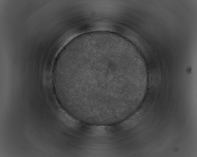 X0000095540828200801041307