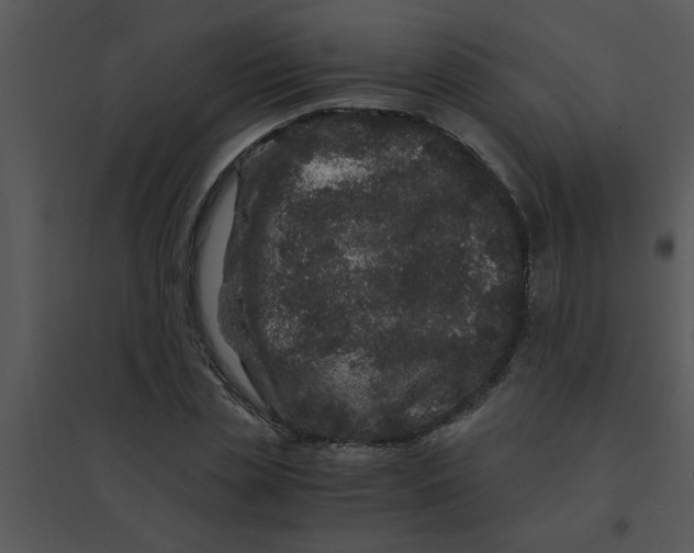 X0000095540829200801041307