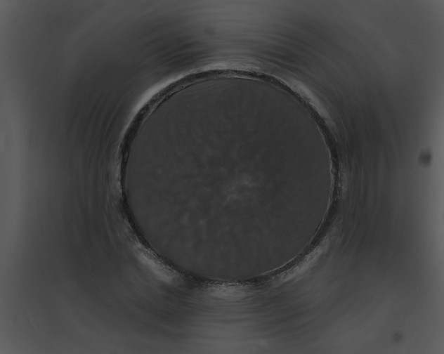 X0000095540830200801041307