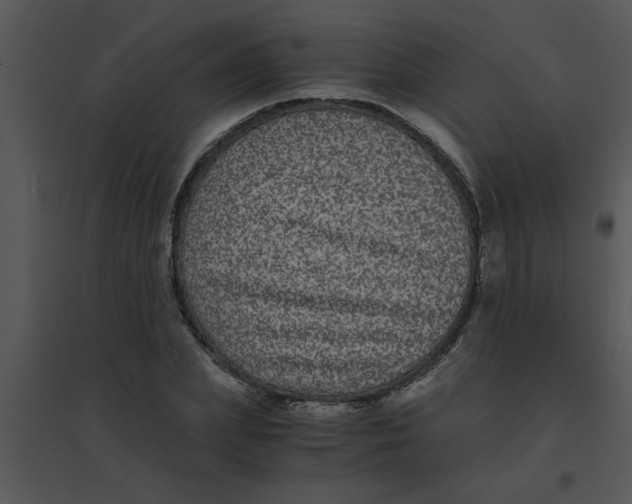 X0000095540831200801041307