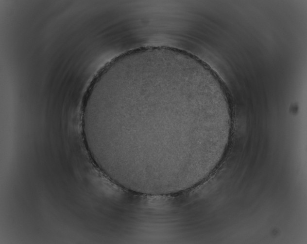 X0000095540832200801041307