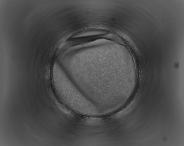 X0000095540833200801041307