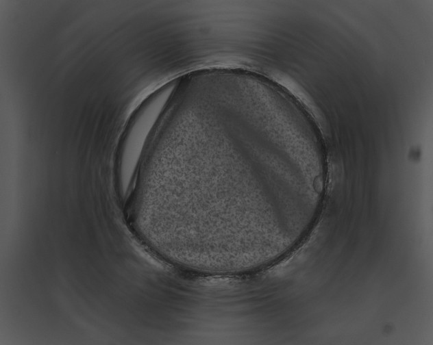 X0000095540834200801041307