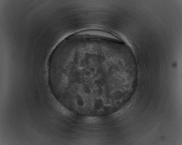 X0000095540835200801041307