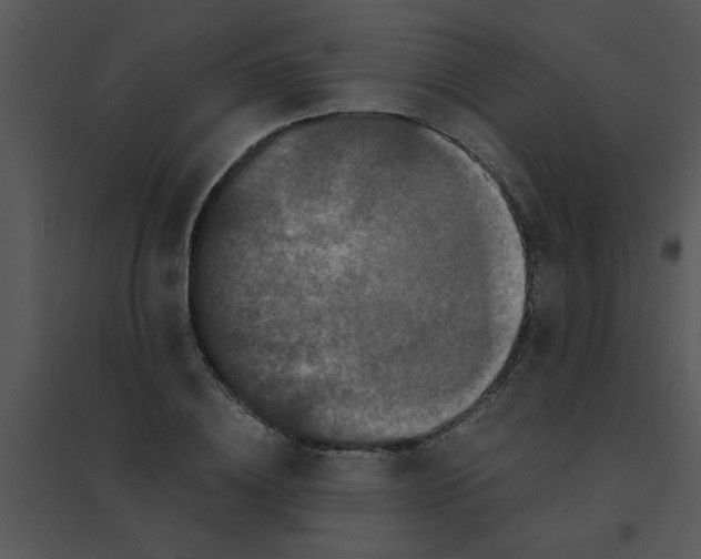 X0000095540836200801041307