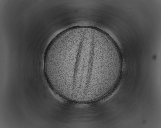 X0000095540837200801041307