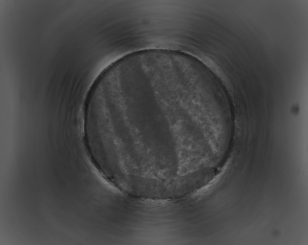 X0000095540838200801041307