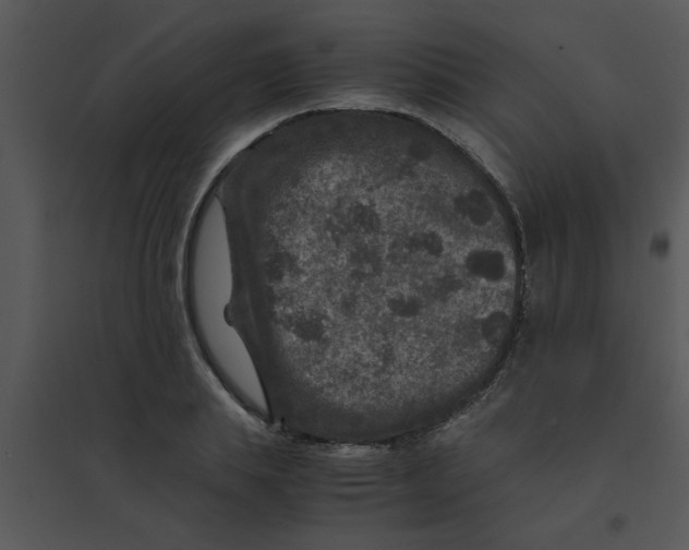 X0000095540839200801041307