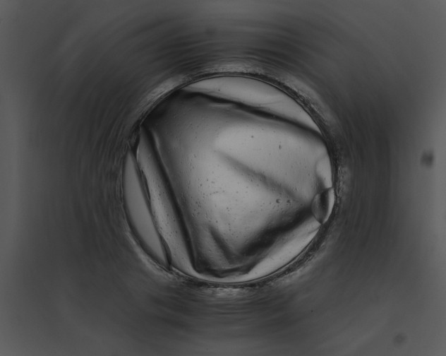 X0000095540841200801041307