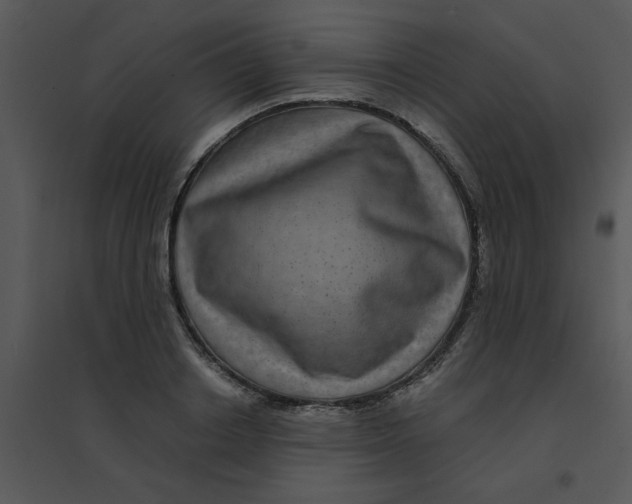 X0000095540842200801041307